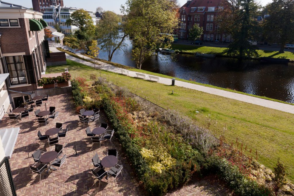 In Copijn's ontwerp voor de Hortus botanicus Leiden wordt het versterken van de singelstructuur centraal gesteld. De Sterrewacht wordt een blikvanger.